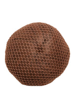 Capezio Hair Net Bun Cover