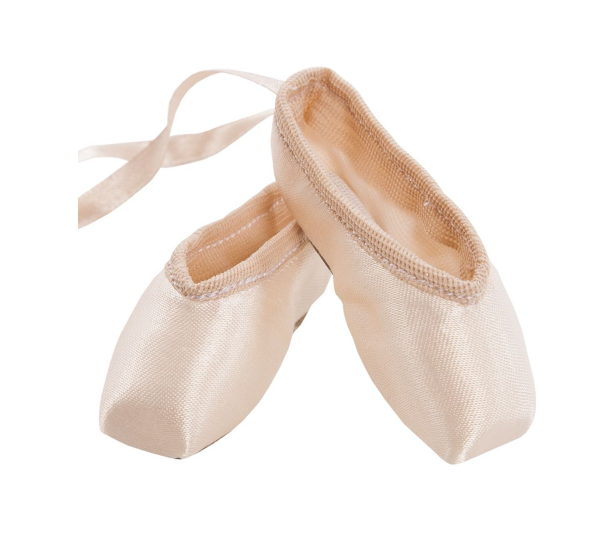 Energetiks Souvenir Pointe Shoes