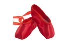 Energetiks Souvenir Pointe Shoes
