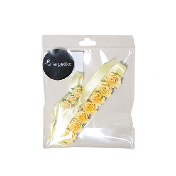Energetiks Exam Pack